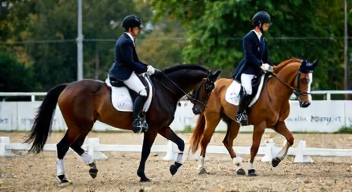 Das sind die Top 7 Schritte beim Reitsportwettbewerb