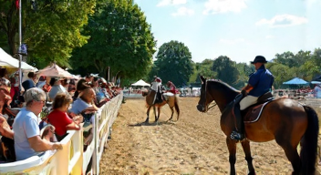Das sind die Top 7 Schritte beim Besuch einer Pferdesportveranstaltung