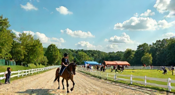 Das sind die Top 7 Schritte beim Engagement für den Pferdesport