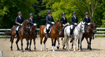 Das sind die Top 7 Schritte beim Pferdesport