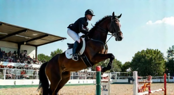 Der Einfluss von McLain Ward auf den Pferdesport (3/10)