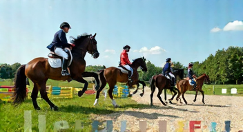 Die 5 meistgestellten Fragen (FAQ) zu Pferdesport