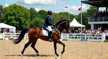 Die 5 meistgestellten Fragen (FAQ) zu Vierspänner-Weltcup