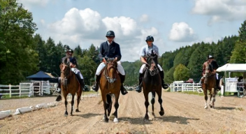 Die 6 häufigsten Fehler bei der Förderung des Pferdesports