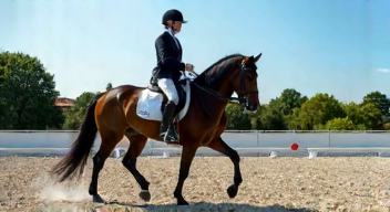Die 6 häufigsten Fehler bei der Förderung im Dressursport