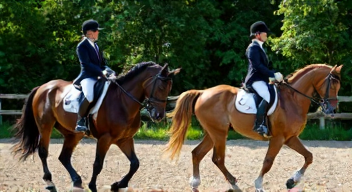 Die 6 häufigsten Fehler bei Pferdesport