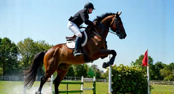 Mein Weg zur Spitze im Pferdesport (1/10)