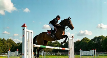 Mentale Strategien im Springsport (7/10)