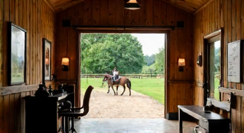 Ökonomische Aspekte des Reitsports (8/10)