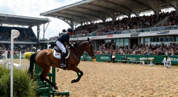 Ökonomische Einflüsse auf den Reitsport (8/10)