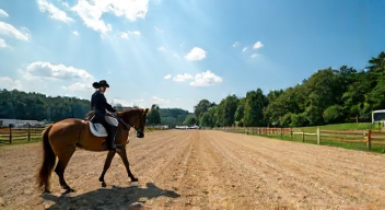 Ökonomische Faktoren im Reitsport (8/10)