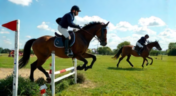 Perspektiven zu Pferdesport und seinen Einflüssen