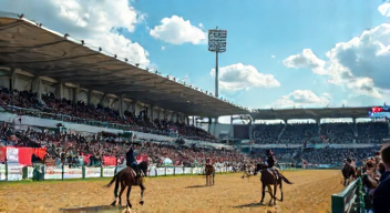 Politische Einflüsse auf den Reitsport (9/10)
