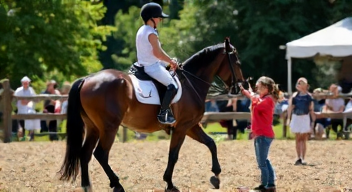 Soziale Aspekte im Pferdesport (6/10)