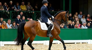 Soziale Dynamiken im Dressursport (6/10)