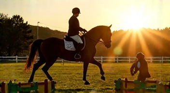 Strategien im Springreiten (2/10)