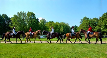 Das sind die Top 7 Schritte beim Pferdesport