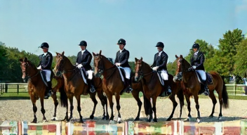 Das sind die Top 7 Schritte beim Reitsport