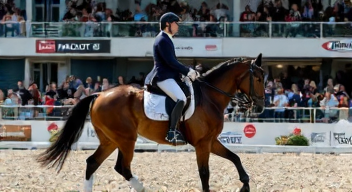 Das sind die Top 7 Schritte beim Sponsoring im Reitsport