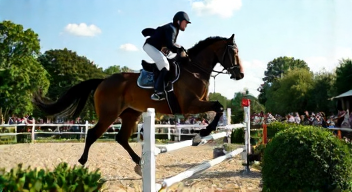 Das sind die Top 7 Schritte beim Springreiten