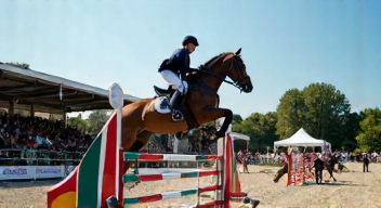 Der Einfluss von Konkurrenz im Springreiten (6/10)