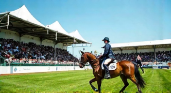 Der wirtschaftliche Aspekt des Reitsports (6/10)