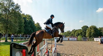 Die 5 meistgestellten Fragen (FAQ) zu Reitsport