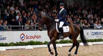 Die 5 meistgestellten Fragen (FAQ) zu Sponsoring im Reitsport