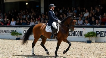 Die 6 häufigsten Fehler bei Dressur-Wettkämpfen