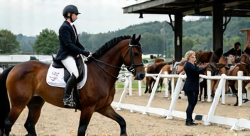 Die 6 häufigsten Fehler bei Reitsport