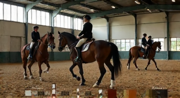 Die 6 häufigsten Fehler bei Voltigieren