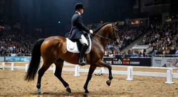 Die 6 häufigsten Fehler beim Dressur-Weltcup