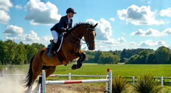 Die Bedeutung von Unterstützung im Springsport (3/10)