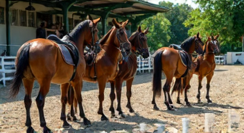 Die besten 8 Tipps bei der Teilnahme an Schulpferde-Wettbewerben