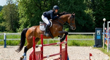 Die besten 8 Tipps bei Pferdesport