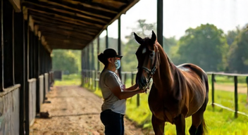 Die besten 8 Tipps bei Tierschutz im Pferdesport