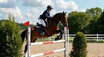 Die besten 8 Tipps beim Reitsport