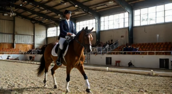 Die Herausforderungen des Dressursports heute (2/10)
