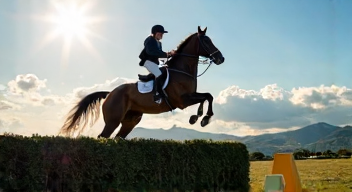 Künstlerische Darstellung des Pferdesports (10/10)