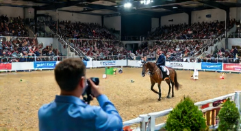 Ökonomische Aspekte im Springsport: Finanzen und Sponsoring (8/10)