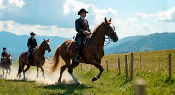 Perspektiven zu Pferdesport und Gesellschaft