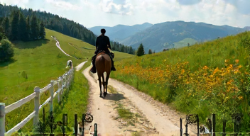 Perspektiven zu Sichtungswegen im Pferdesport