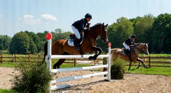 Perspektiven zu Springsport und Teamarbeit