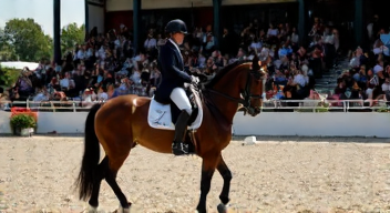 Psychologische Herausforderungen im Dressursport (7/10)