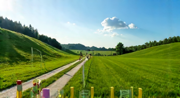 Sichtungswege für die Vierspänner (6/10)