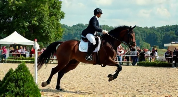 Soziale Aspekte des Pferdesports (6/10)