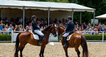 Soziale Dynamiken im Reitsport (4/10)