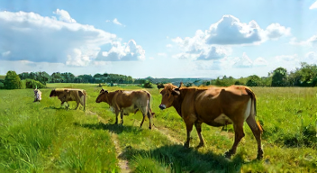 Soziale Herausforderungen der Weidetierhaltung (6/10)