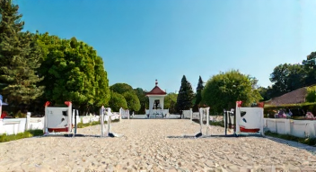 Strategien für den Erfolg im internationalen Springreiten (5/10)