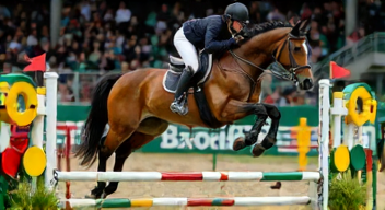Das sind die Top 7 Schritte beim Pony-Springen